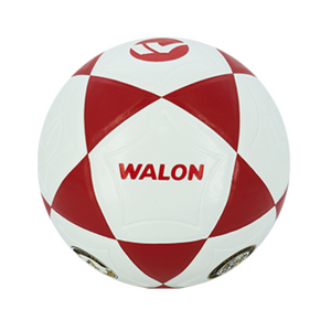 Pelota de futbol Walon