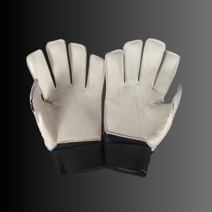 Guantes de arquero Premium (N°10)