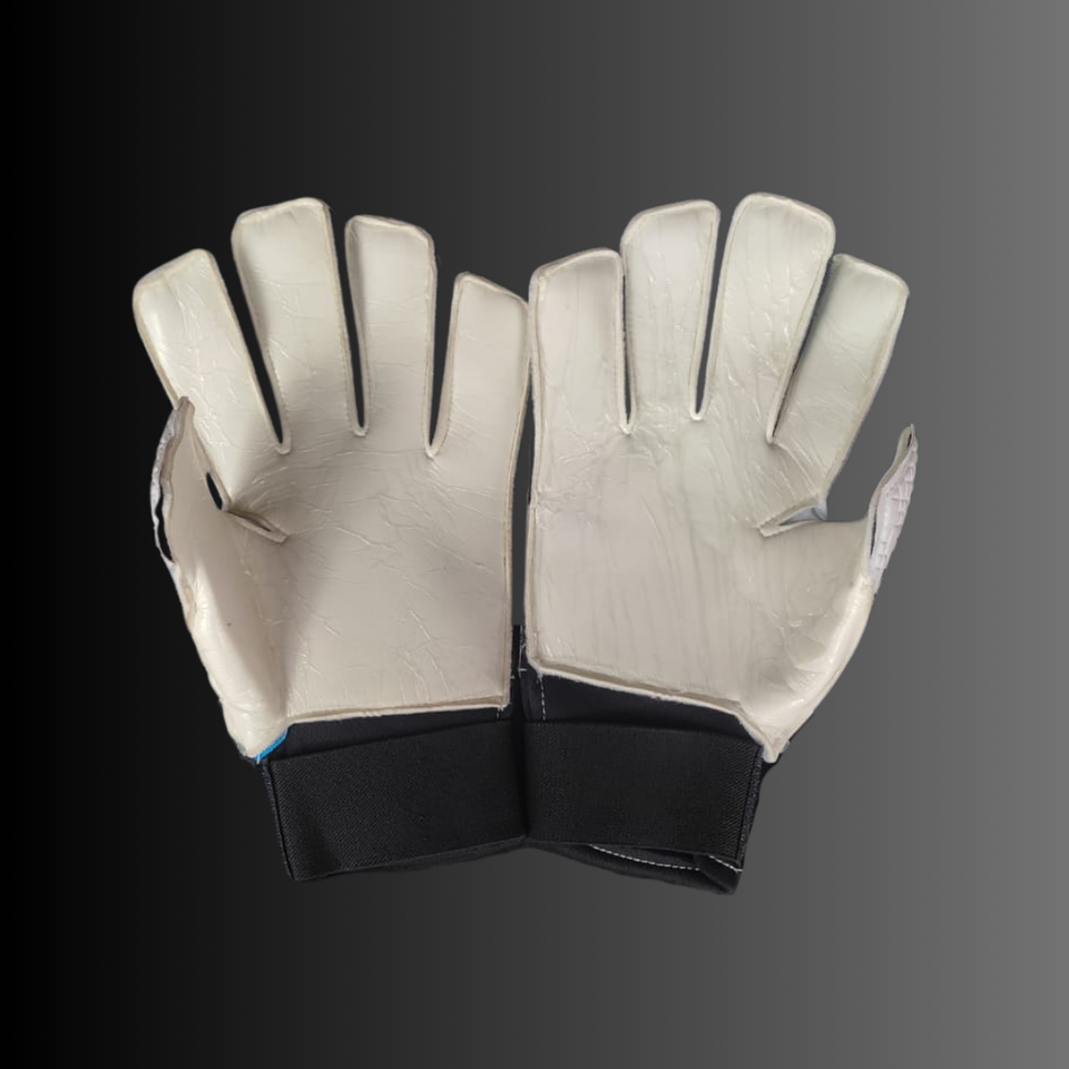 Guantes de arquero Premium (N°10)